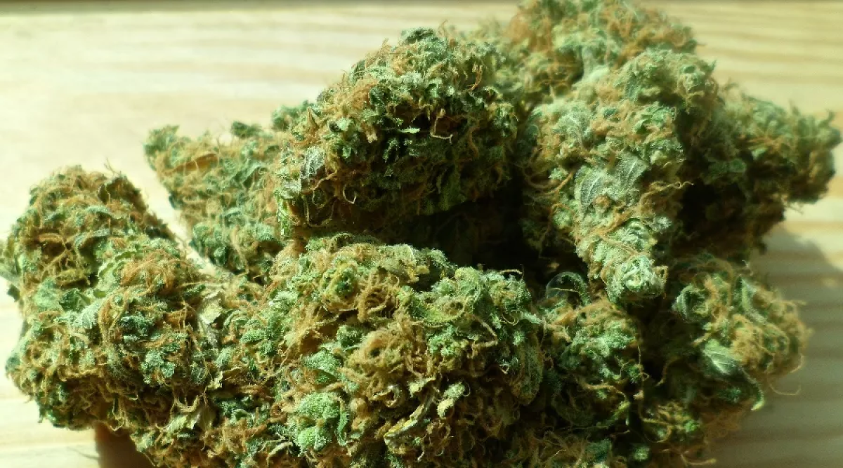 У сотрудника погранслужбы КНБ нашли марихуану в сапоге