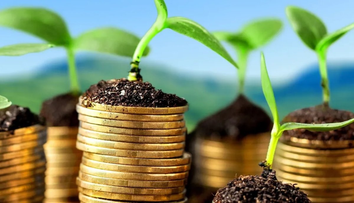 Приход крупных европейских компаний анонсирован в Казахстане