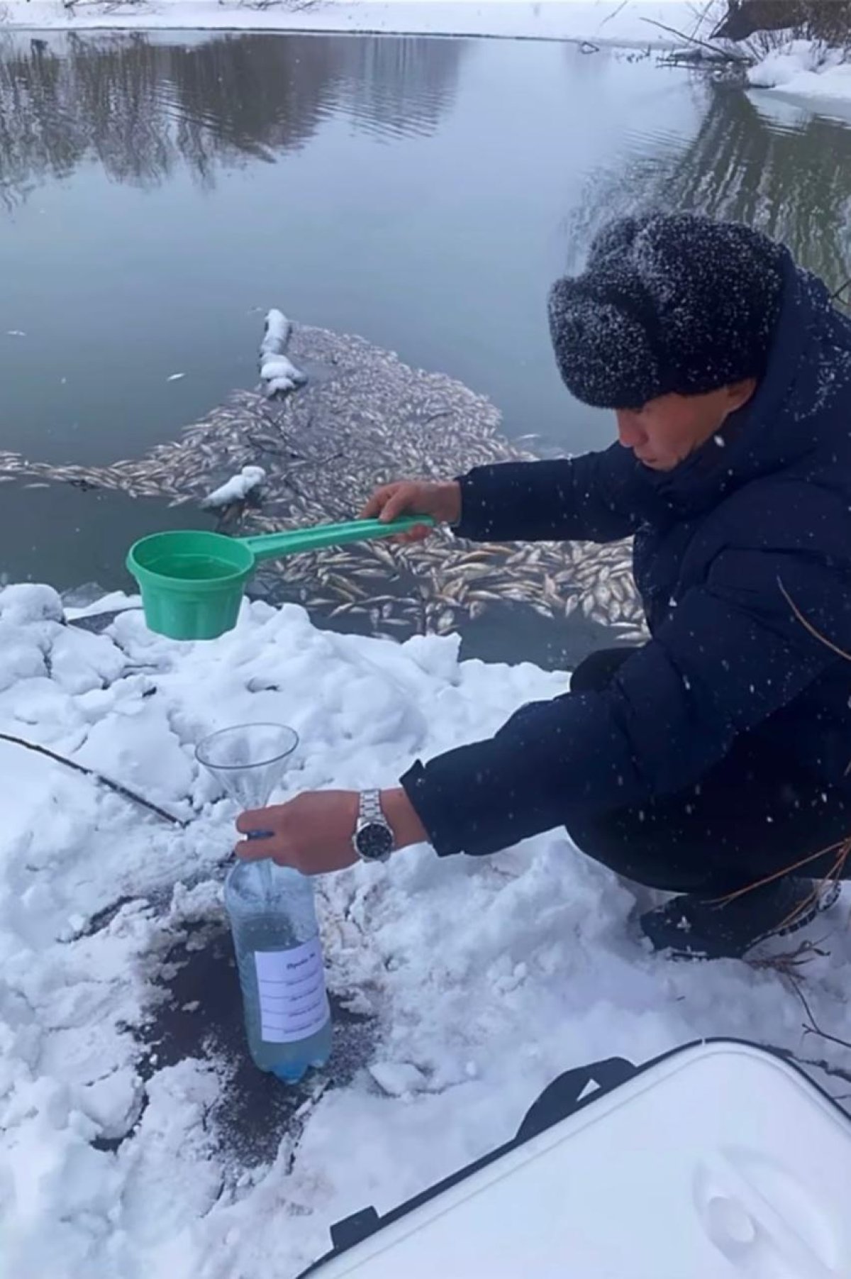 Загрязнение реки и гибель рыбы: спиртзавод оштрафовали в Акмолинской области