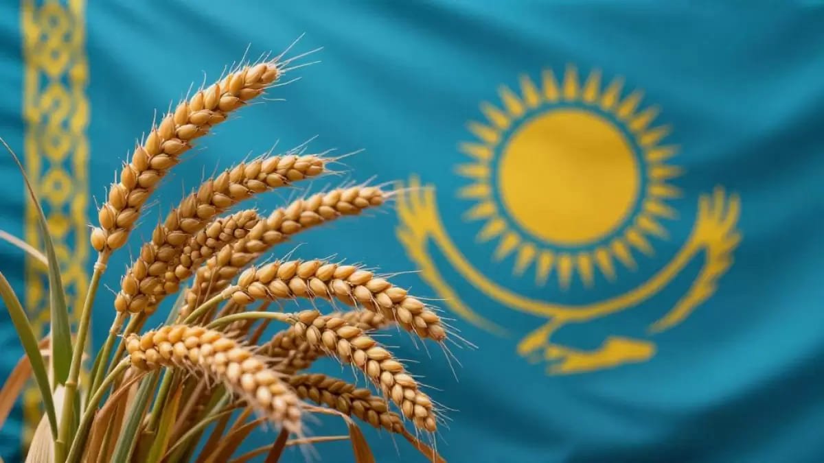 Военные действия в Иране парализовали экспорт казахстанского зерна