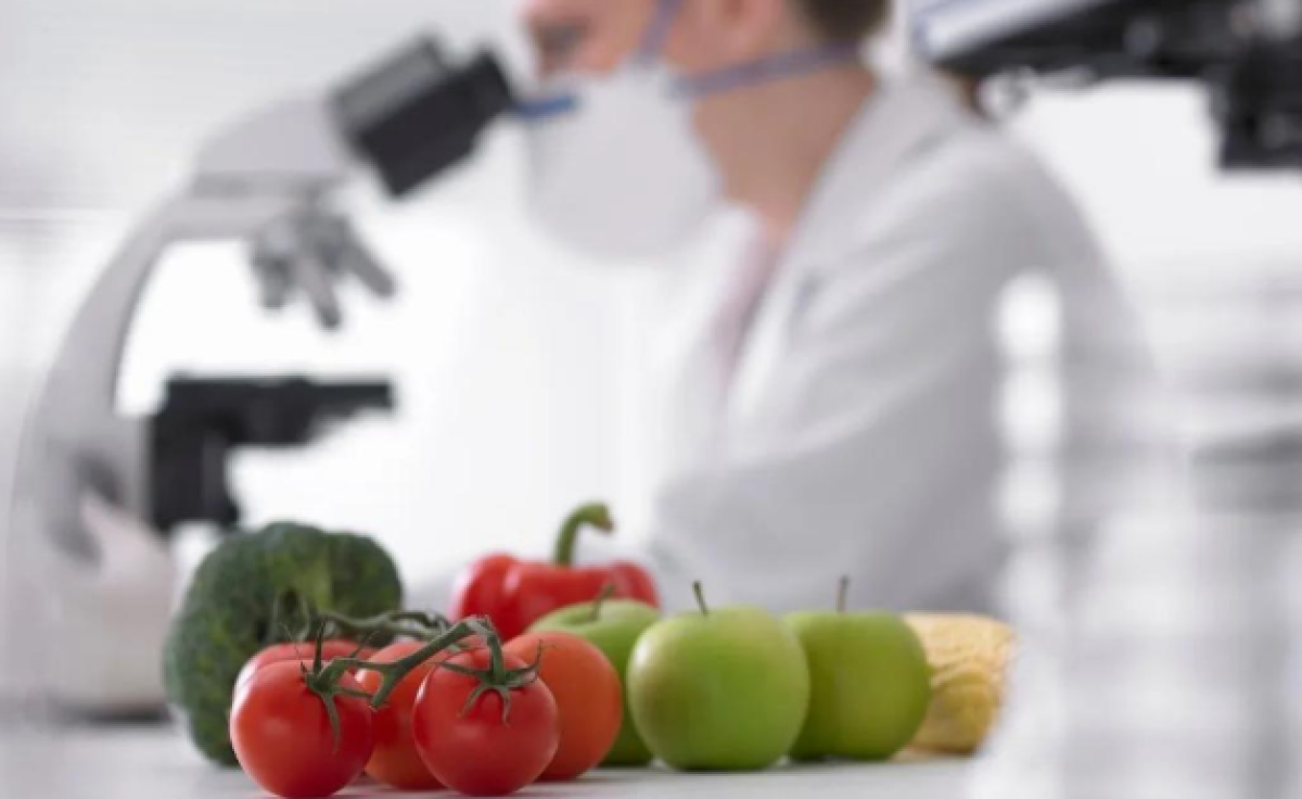 Больше 140 нарушений выявили при ввозе подкарантинной продукции в Казахстан