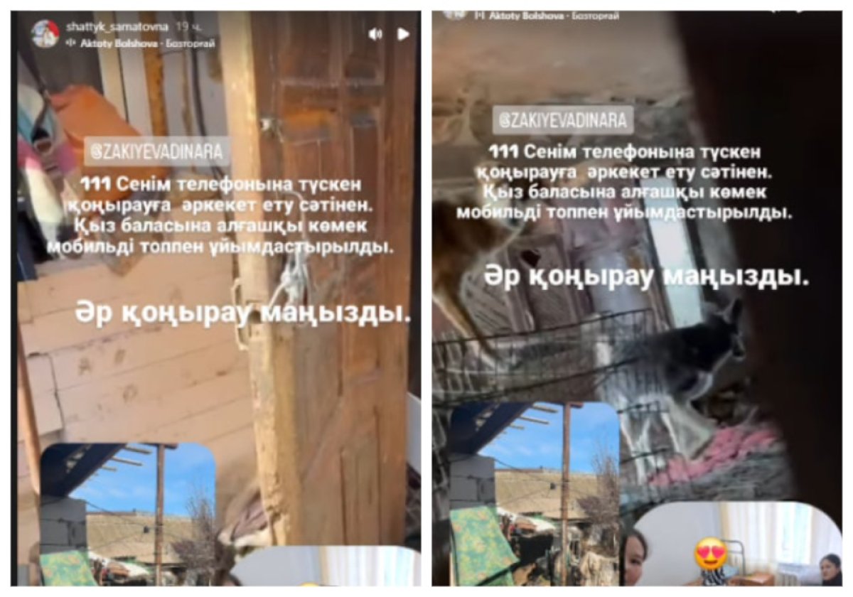 Девочка жила с 70 собаками и подвергалась насилию на западе Казахстана