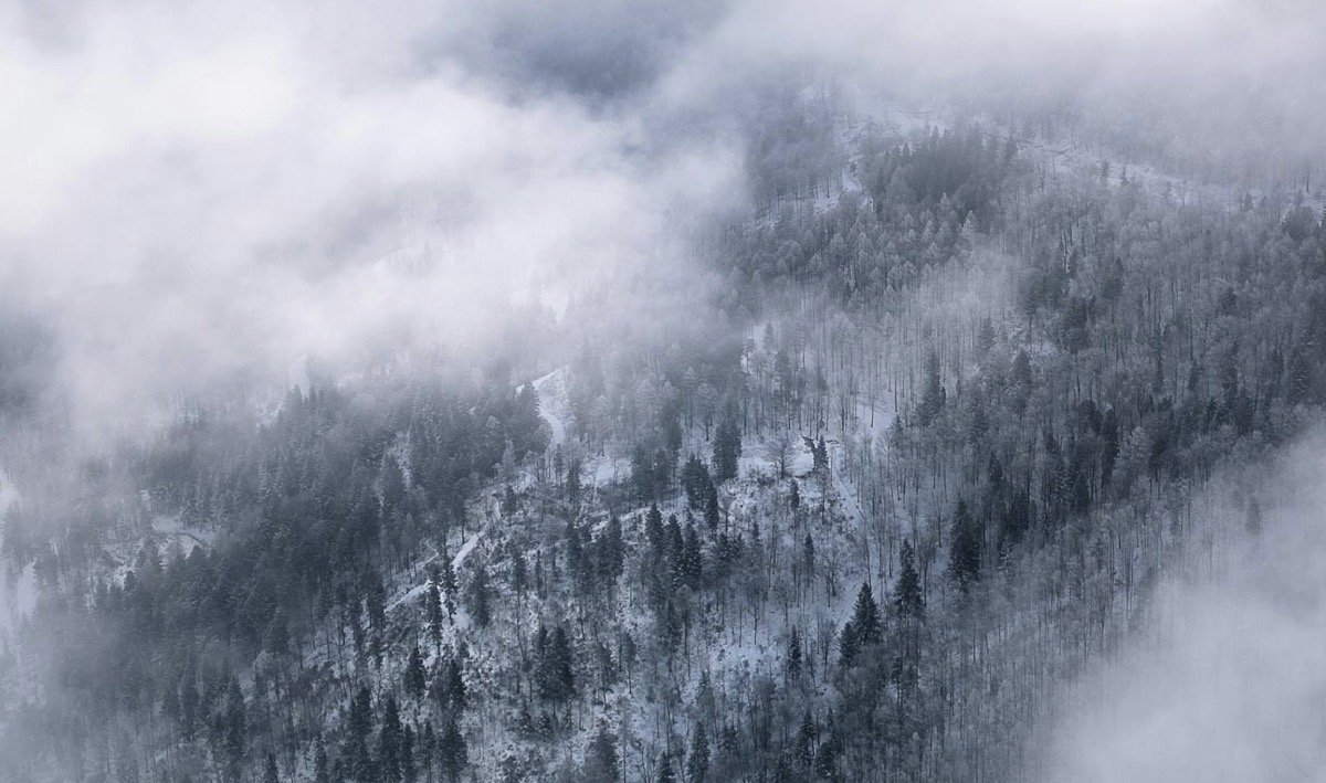 Синоптики предупредили о тумане, гололеде и бурях в регионах Казахстана