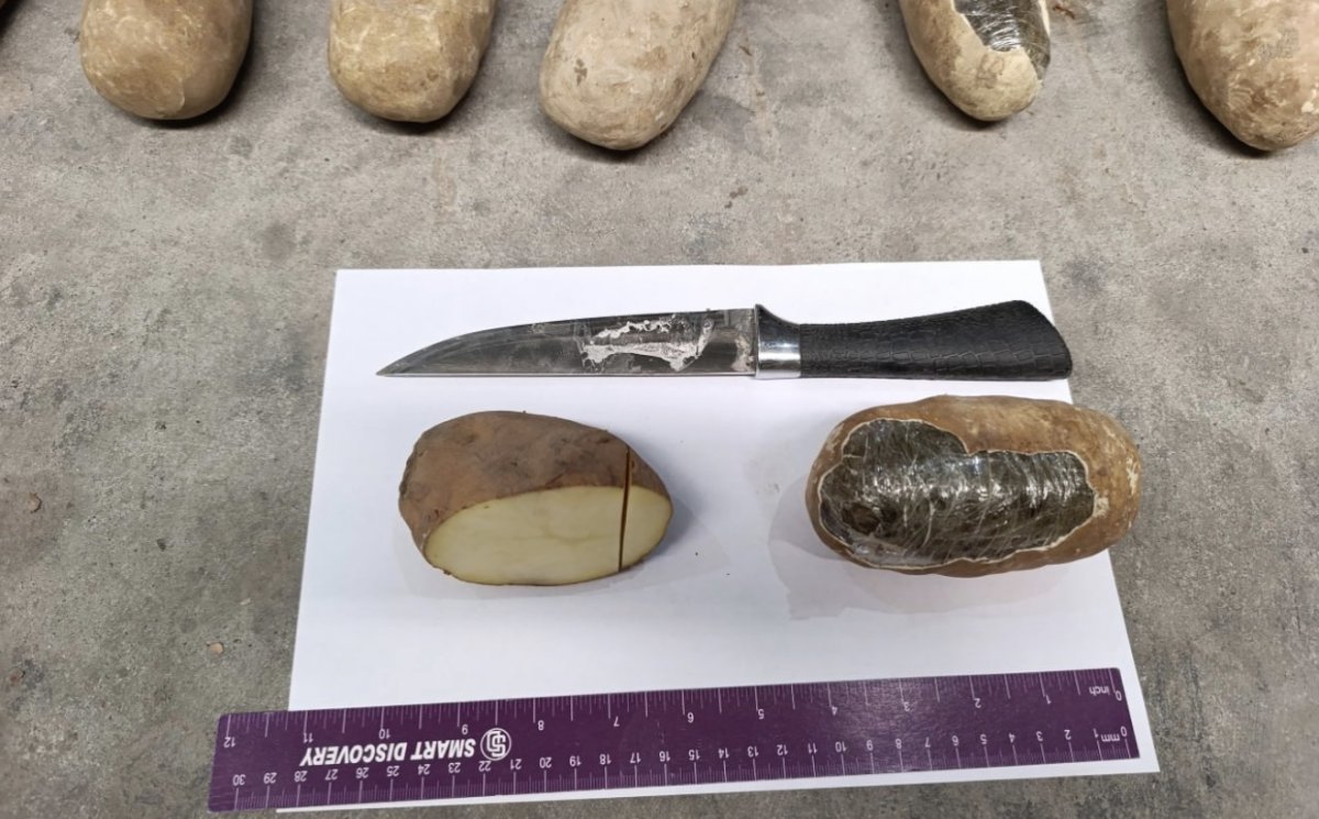 Узбекистанец пытался провезти 72 кг наркотиков под видом картофеля