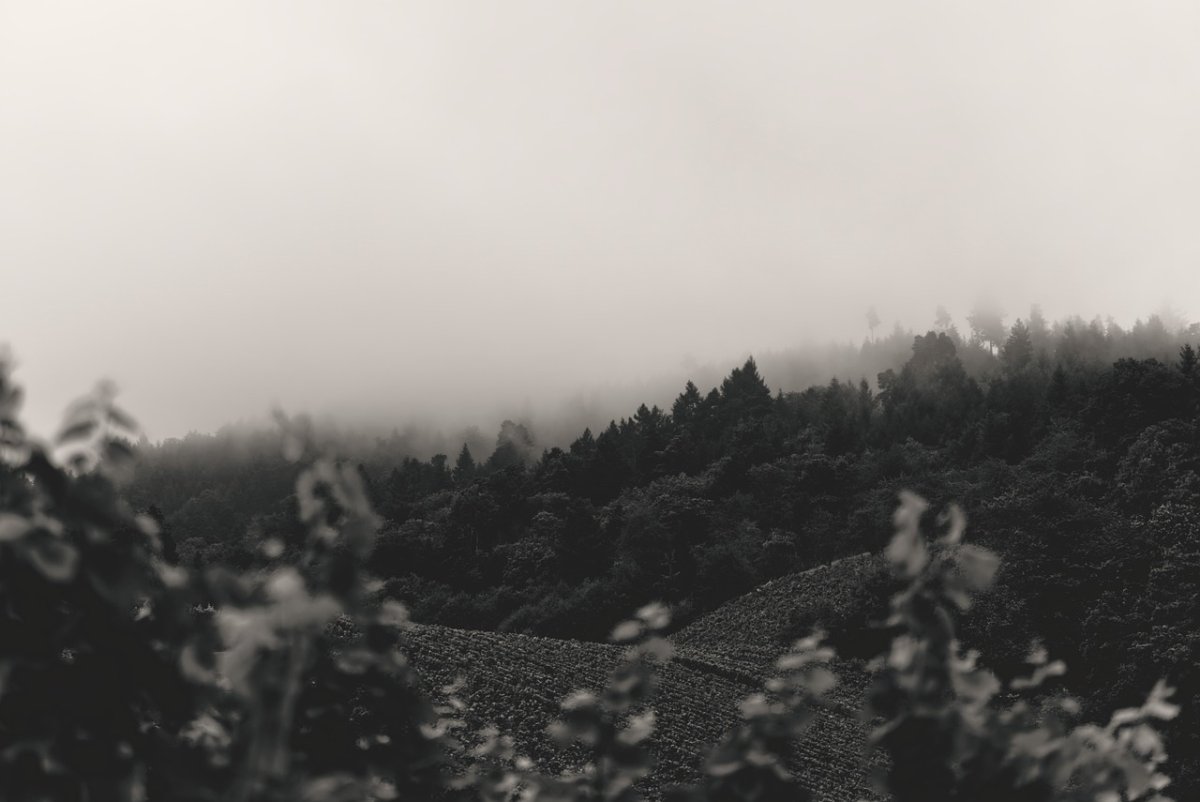 Пыльные бури, туман и сильный ветер ожидаются в Казахстане