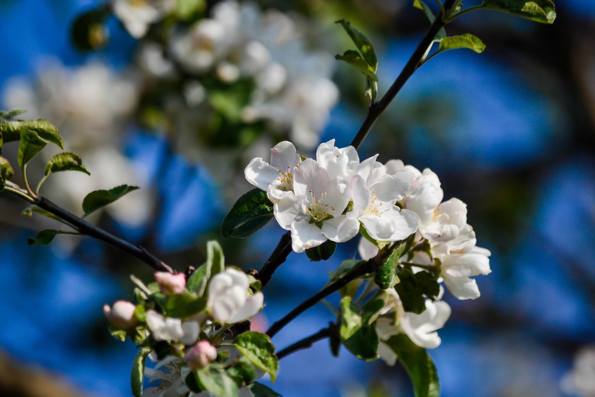 30-градусная жара ждет казахстанцев уже в ближайшие дни