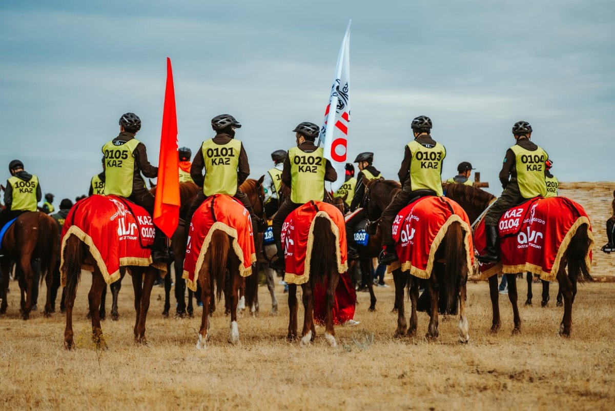 «Патрон» ломает стереотипы: костанайская лошадь впервые стала призёром Кубка РК