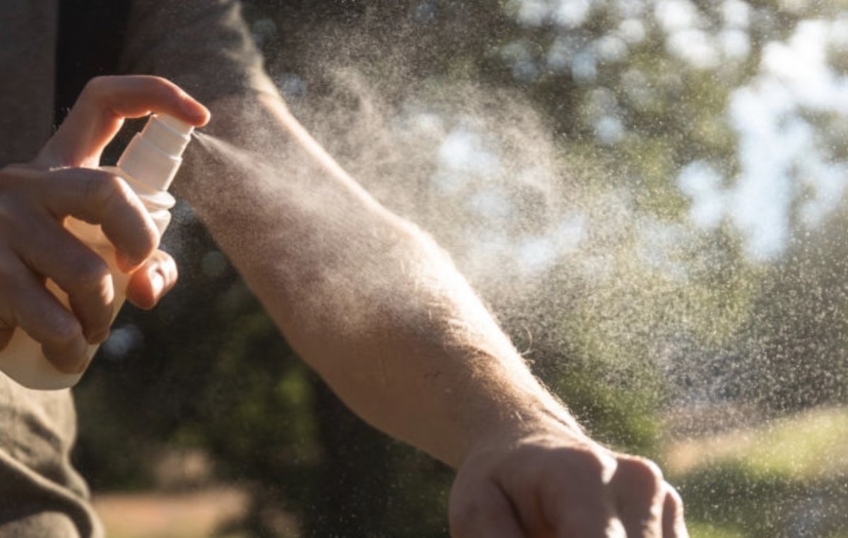 78 человек уже пострадали от укусов клещей в Алматы