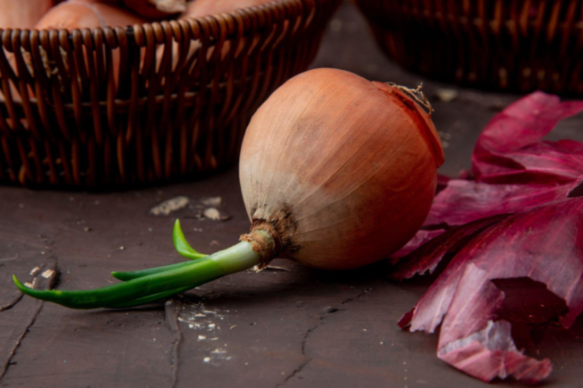 В Казахстане гниет урожай лука: цены могут вырасти