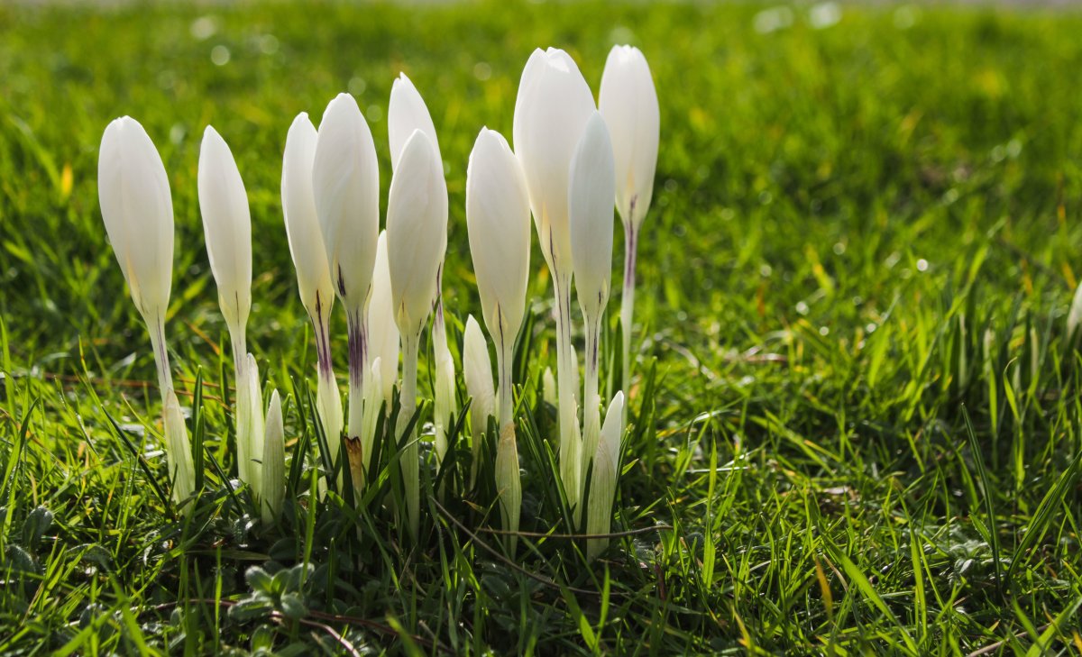 Какая погода ждет Казахстан в начале апреля