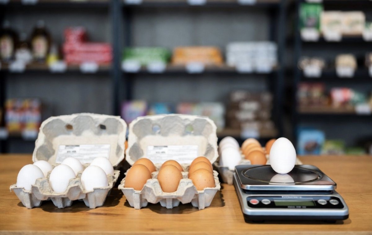 Сколько на самом деле весят яйца, проверили в магазинах Жетысу