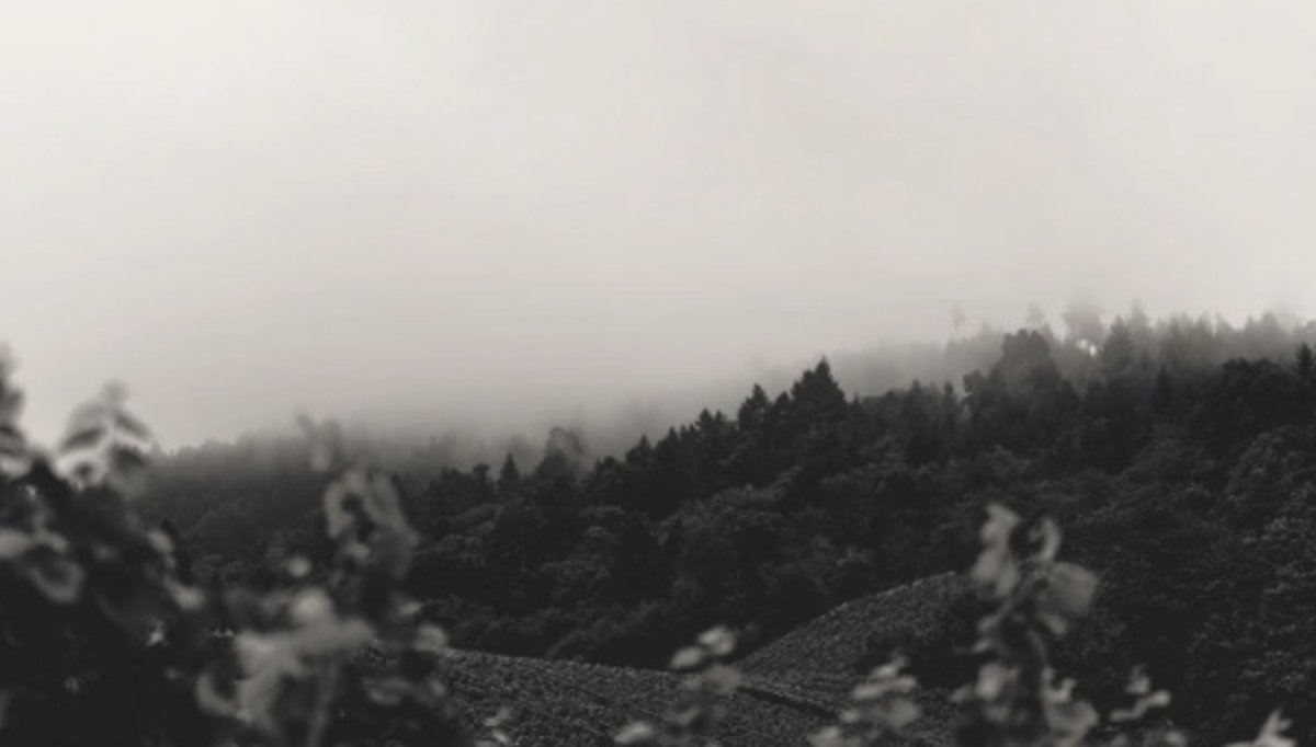 Грозы, туман и шквалистый ветер: где в Казахстане ожидается непогода