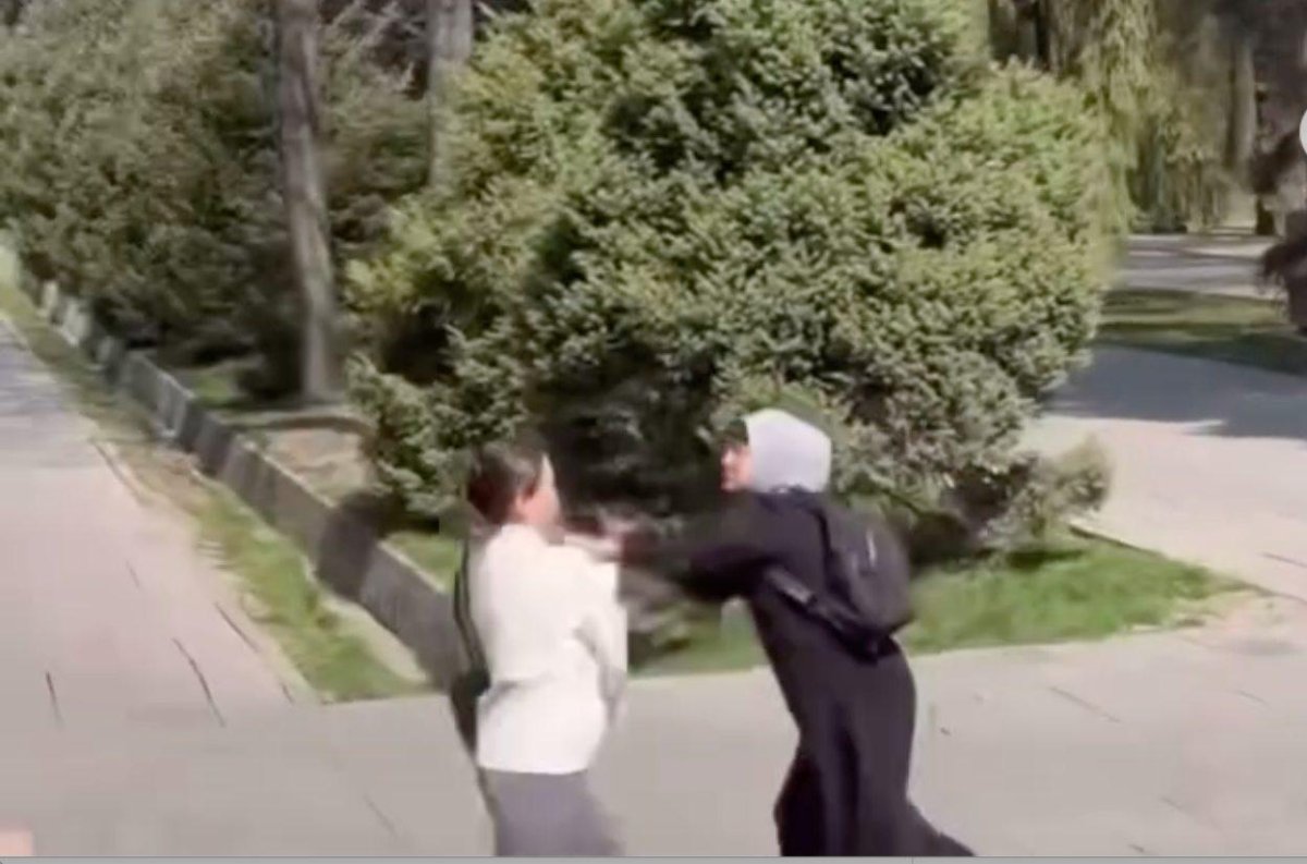 «Кидались с кулаками и бросали камни»: полиция Алматы проверят видео конфликта с девушками