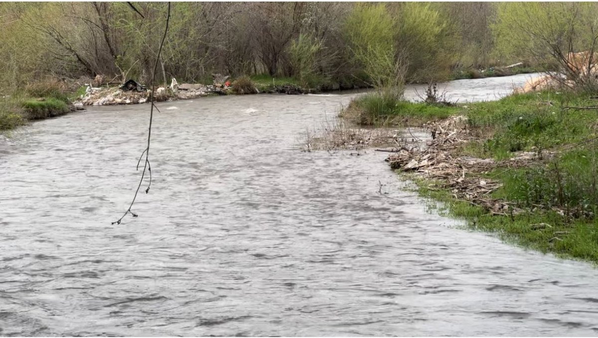 Еще один ребенок пропал в Туркестанской области