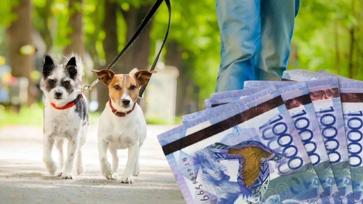 Налог на содержание собак: Минфин объяснил депутатам элементарные вещи