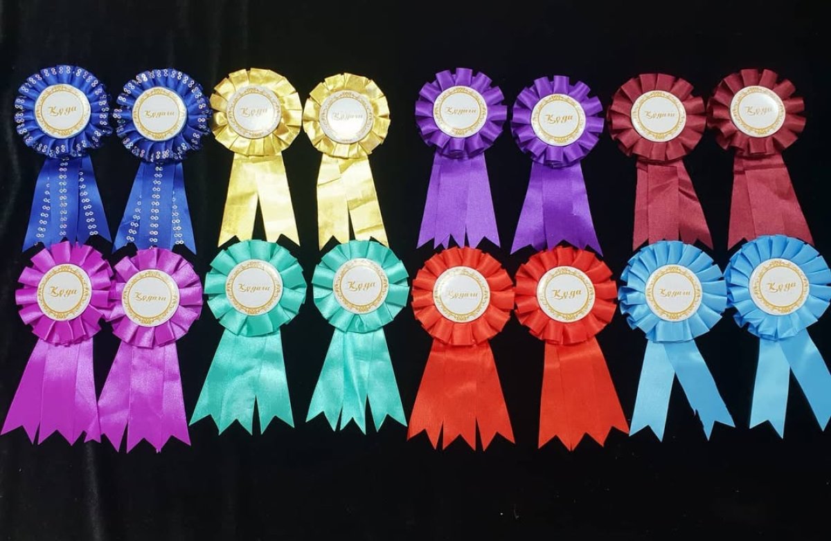 «Лучший сват» и «человек века»: навести порядок с фальшивыми наградами хотят в Казахстане