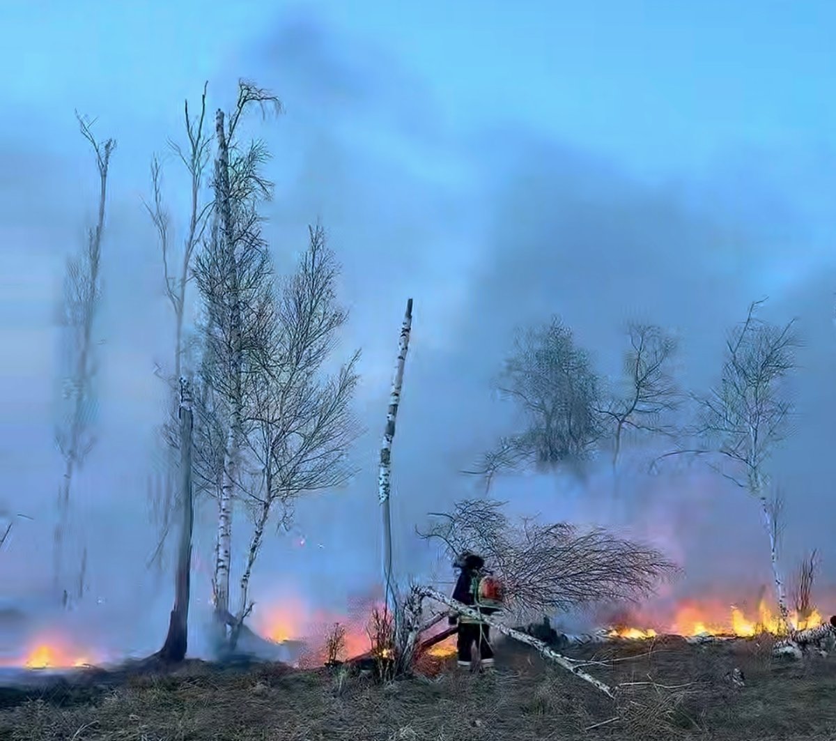Сильный ветер разогнал пожар до леса на севере Казахстана