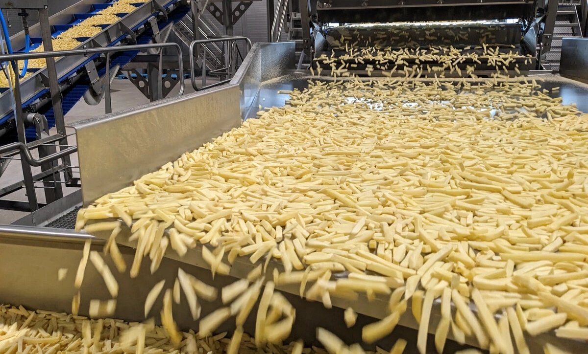 Китайцы будут производить картофель фри в Павлодарской области