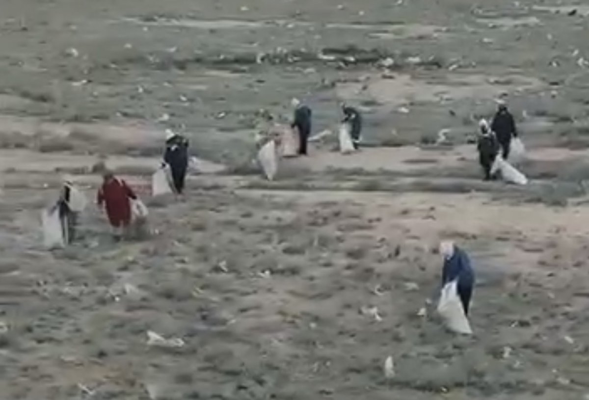 Верблюд среди мусора: в степи Мангистау начали уборку