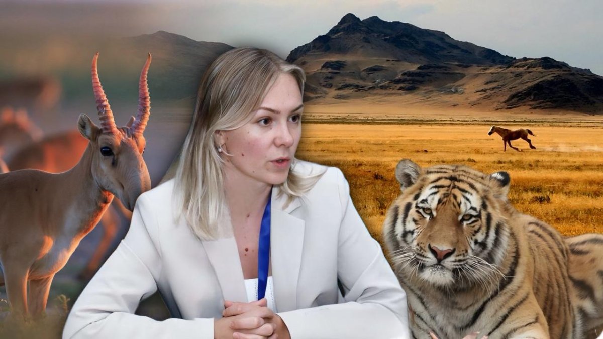 Глава АСБК высказалась о проблеме Талдыколя