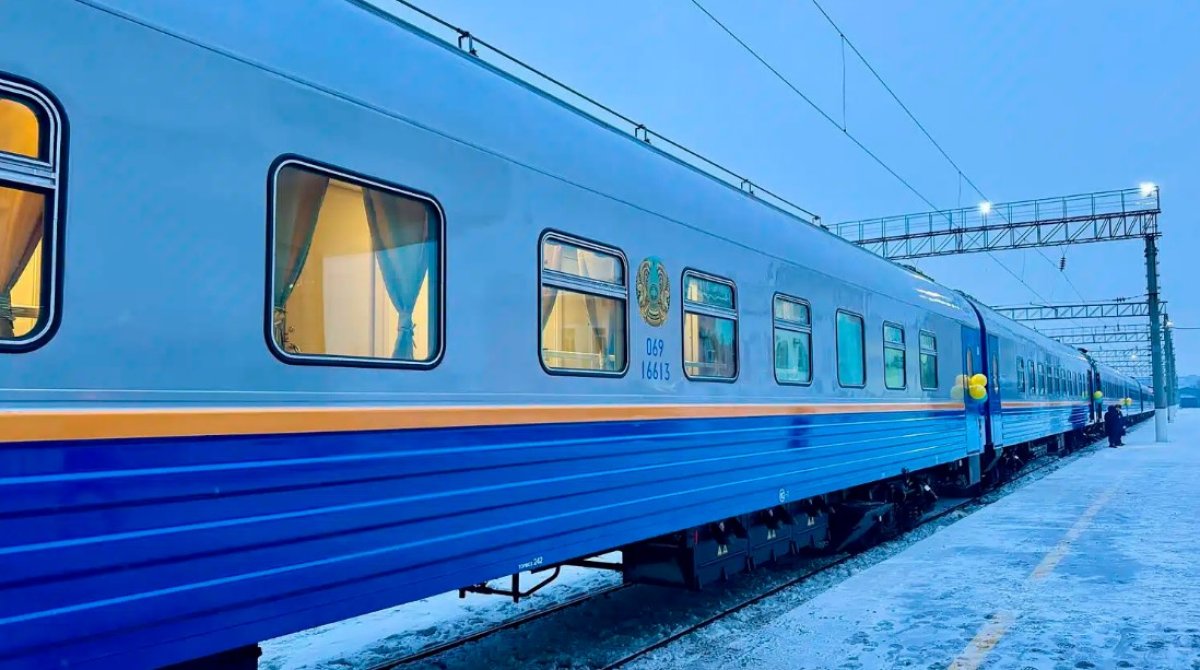 Кого накажут за массовое отравление людей в поезде