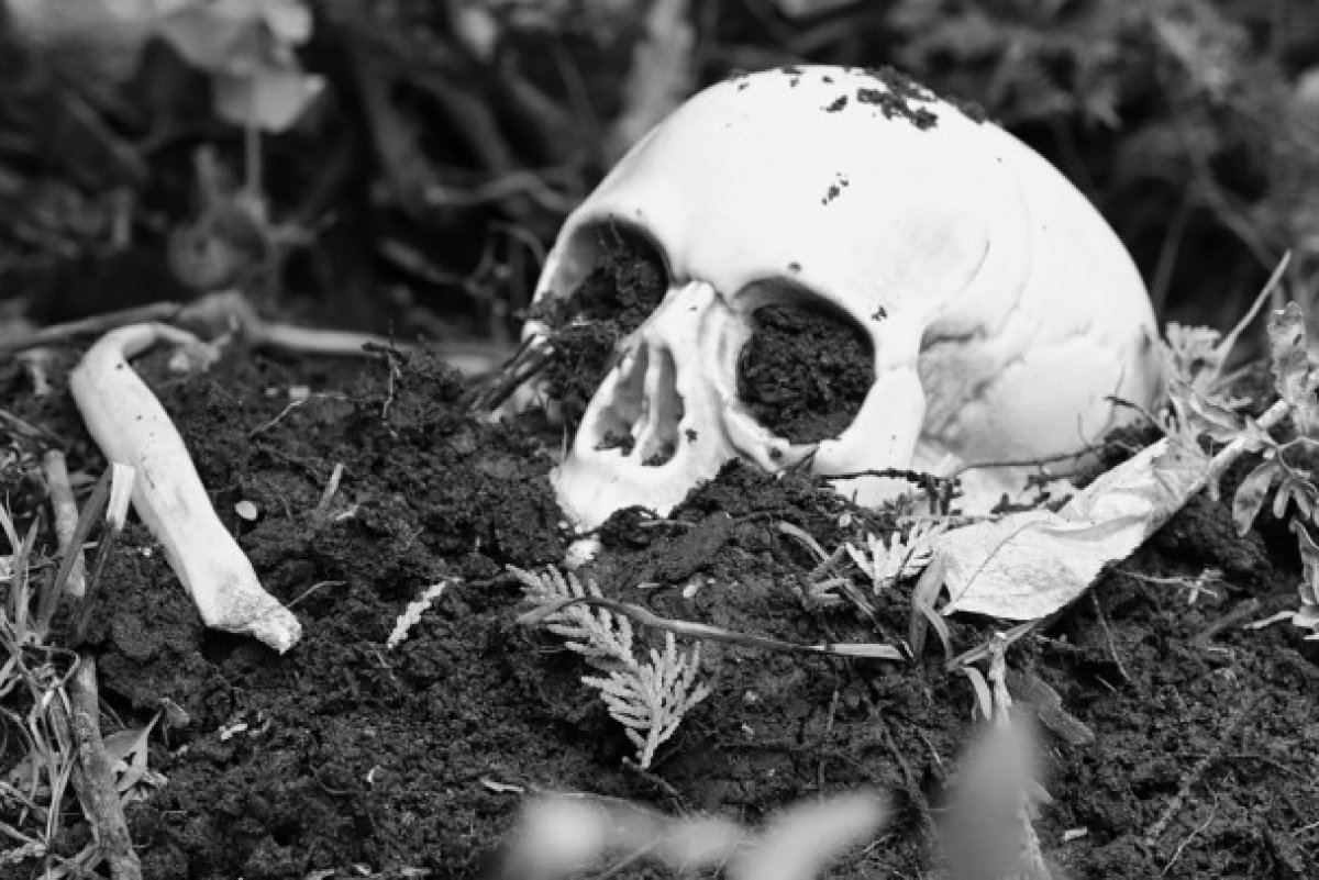 Человеческие останки в котловане: жители ВКО требуют остановить стройку больницы