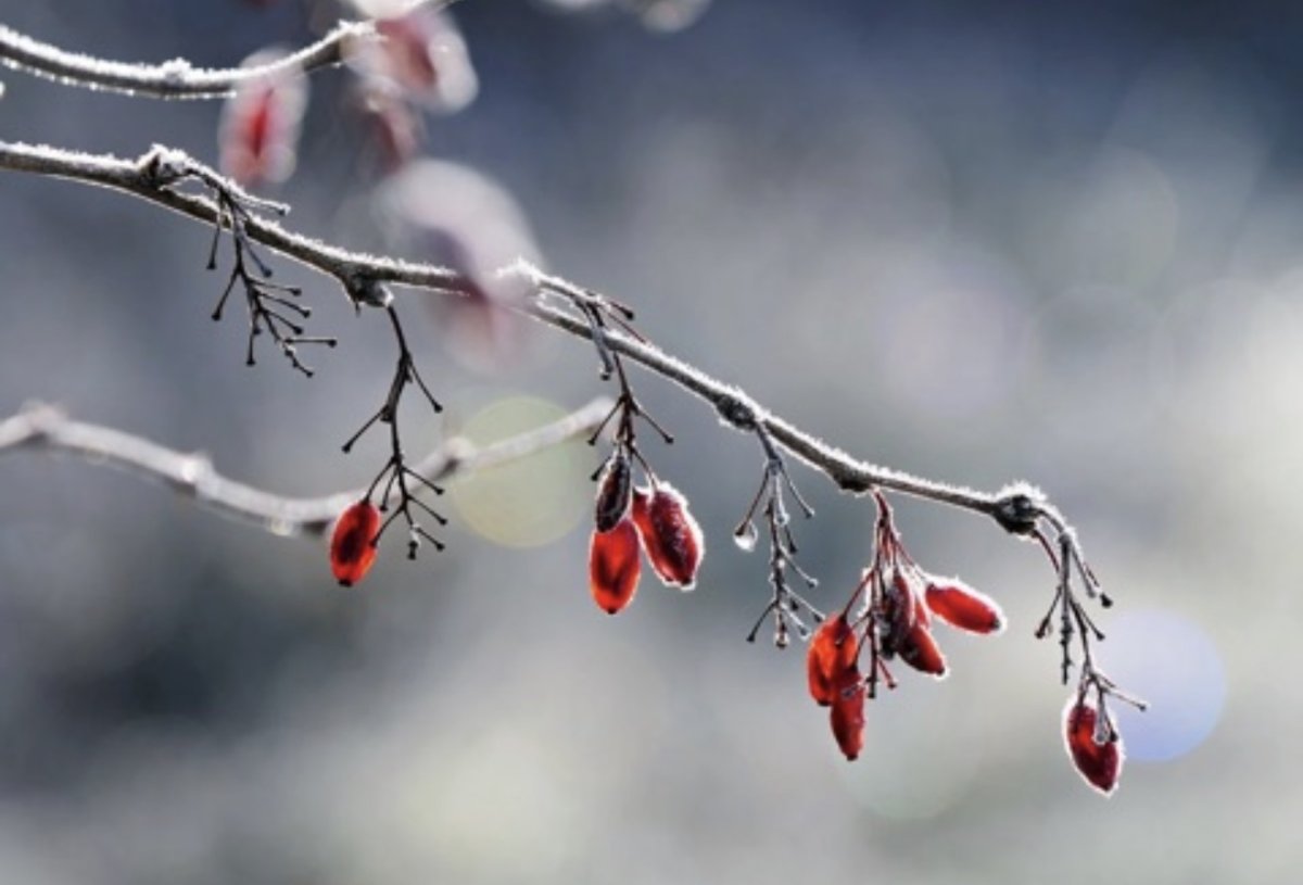 Заморозки до -3 и грозы: какая погода ждёт Казахстан 27 апреля