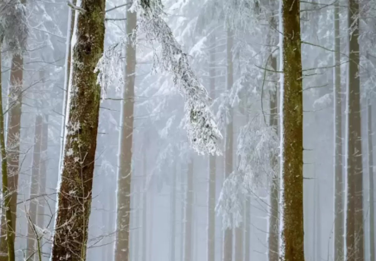 Заморозки и шквалы ожидаются в Казахстане