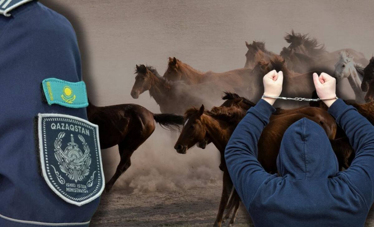 МВД сообщило об успешной операции на границе Казахстана