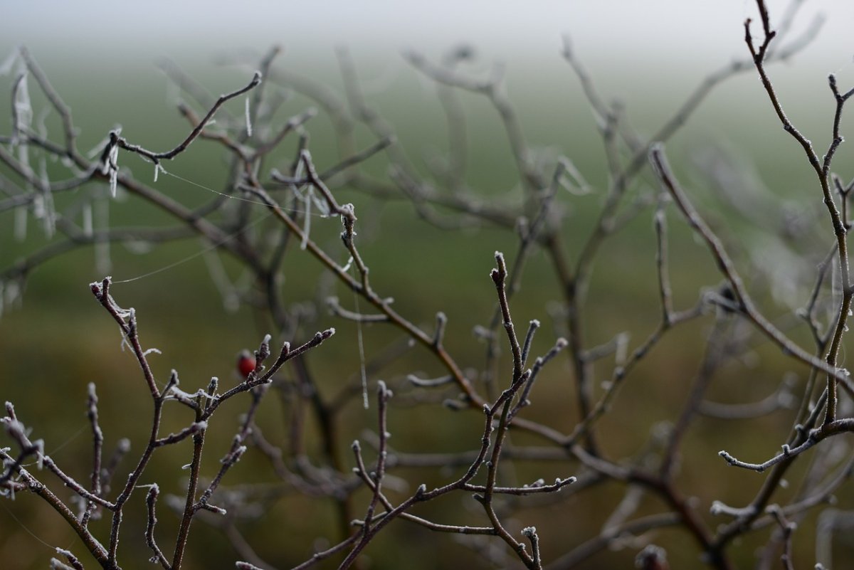 Мокрый снег и заморозки: где ухудшится погода в Казахстане