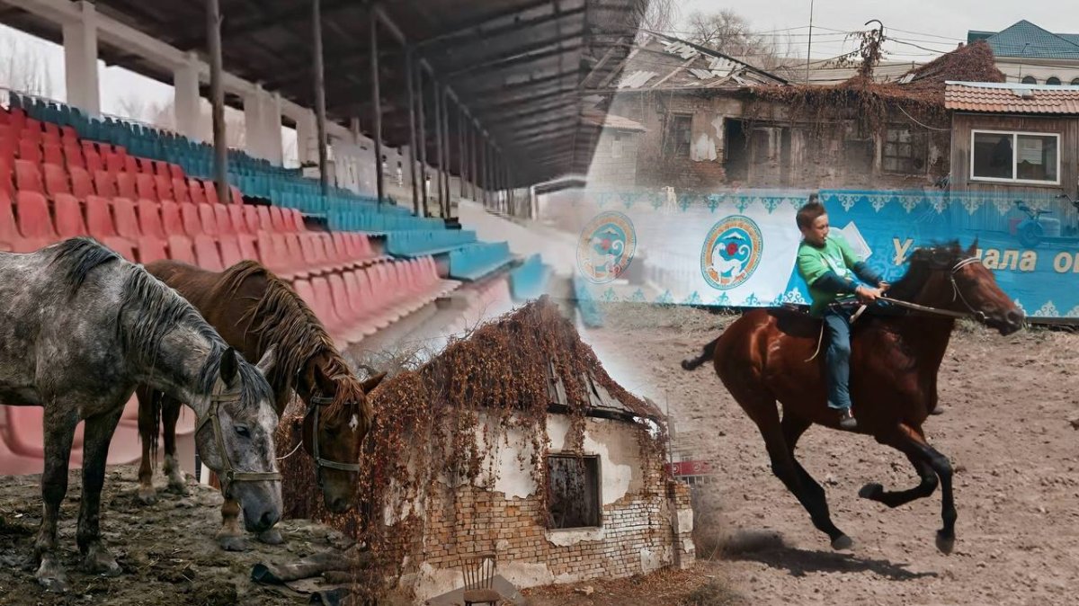 Лошади не ко двору? Кому выгодно разрушение ипподрома в Алматы