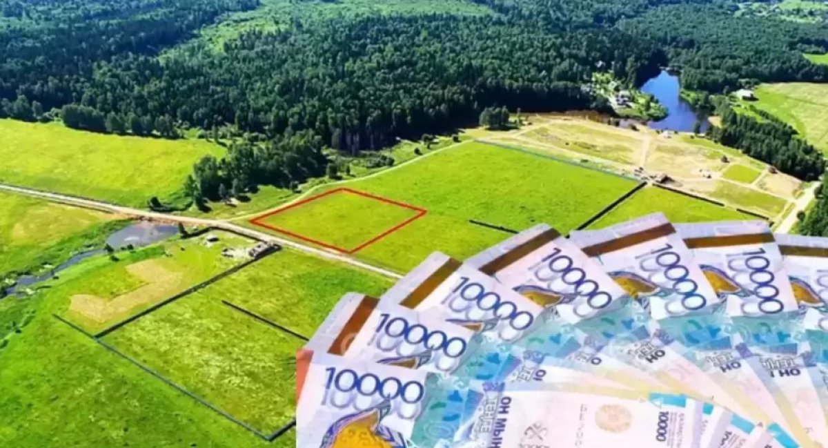 Китайцы продают земли в Алатау-сити: Минсельхоз проблем не видит