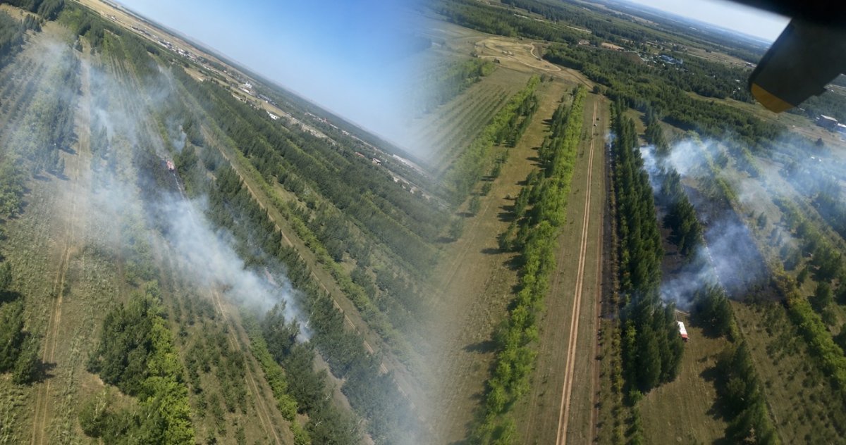 За день в Казахстане произошло пять лесных пожаров