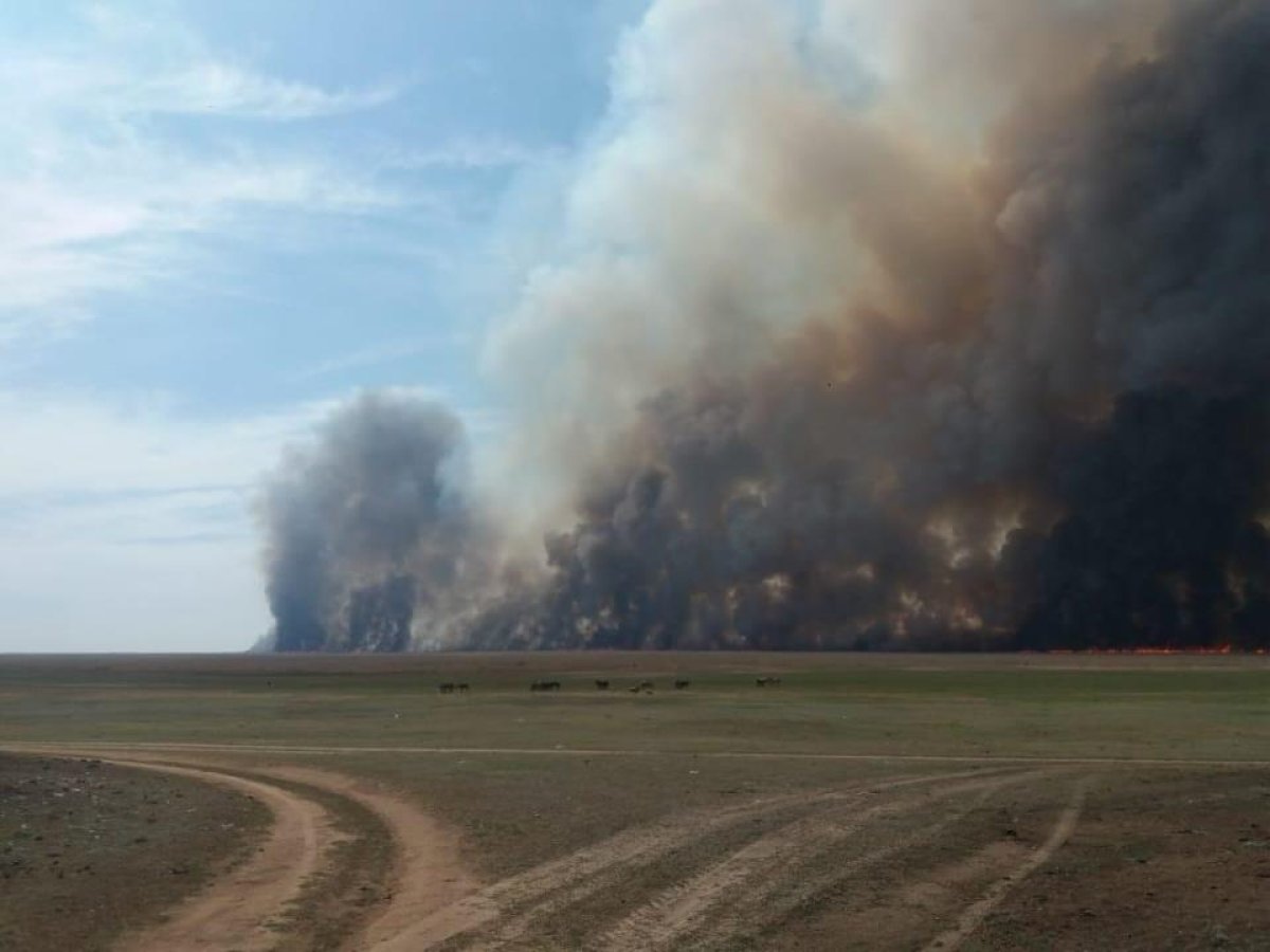 Пожары, державшие в страхе села Карагандинской области, потушили