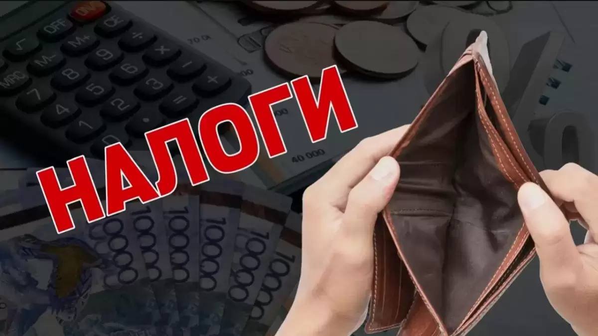 Бизнесу дали 30 дней: за что налоговая может назначить проверку в Казахстане