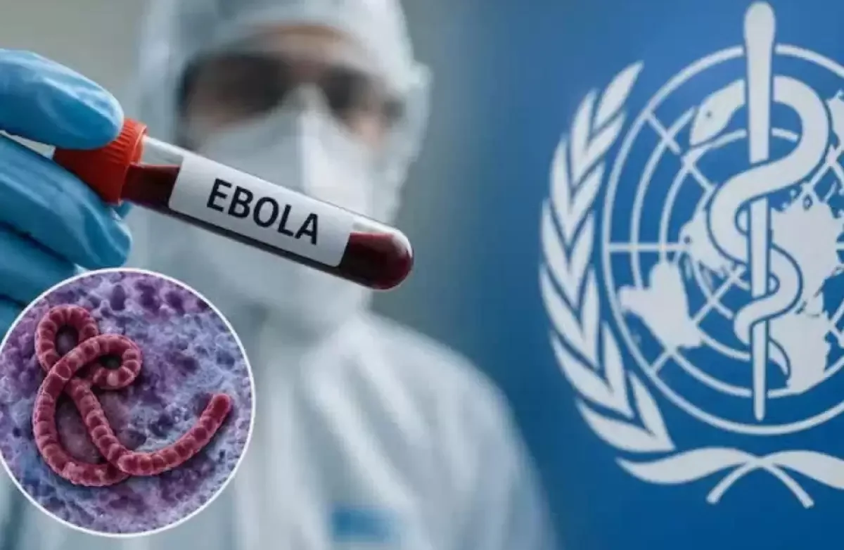 Вспышка Эболы в Конго стала второй крупнейшей в истории: более 3 тысяч погибших