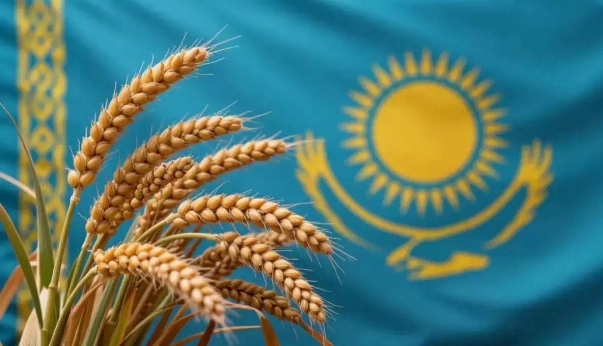 Война в Украине бьёт по казахстанским аграриям — эксперт