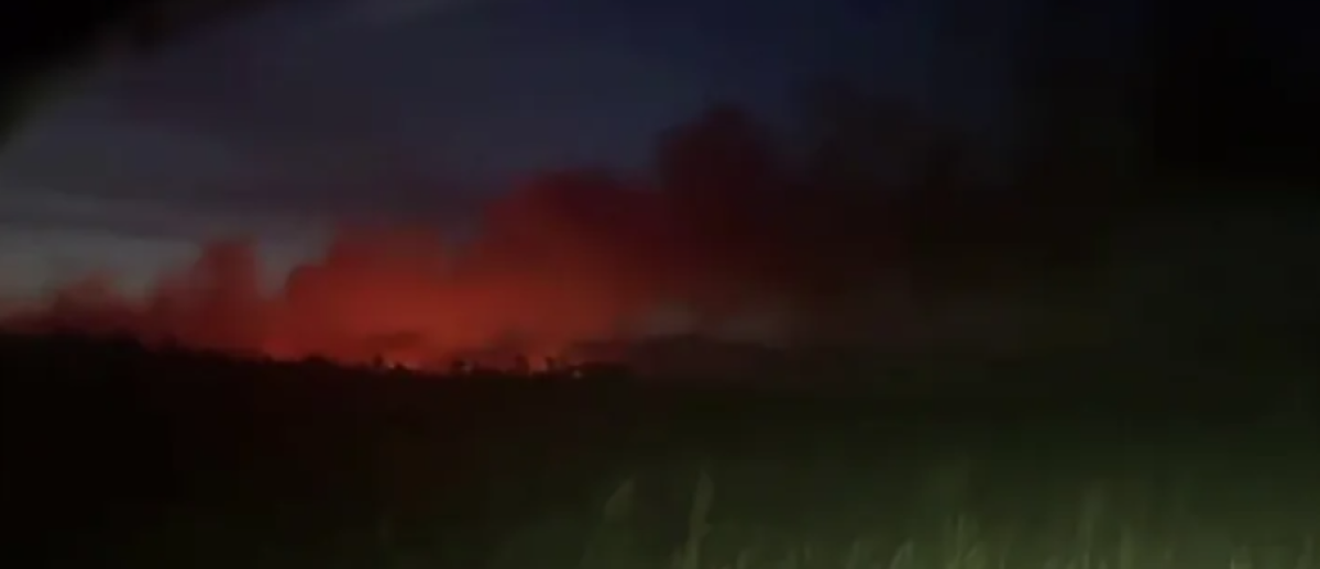 Крупный пожар разгорелся возле реки Или в Алматинской области