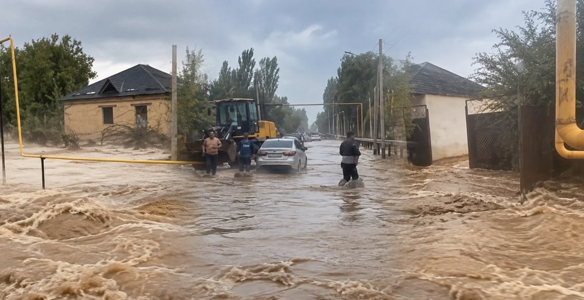 Село в Туркестанской области затопило после сильного дождя
