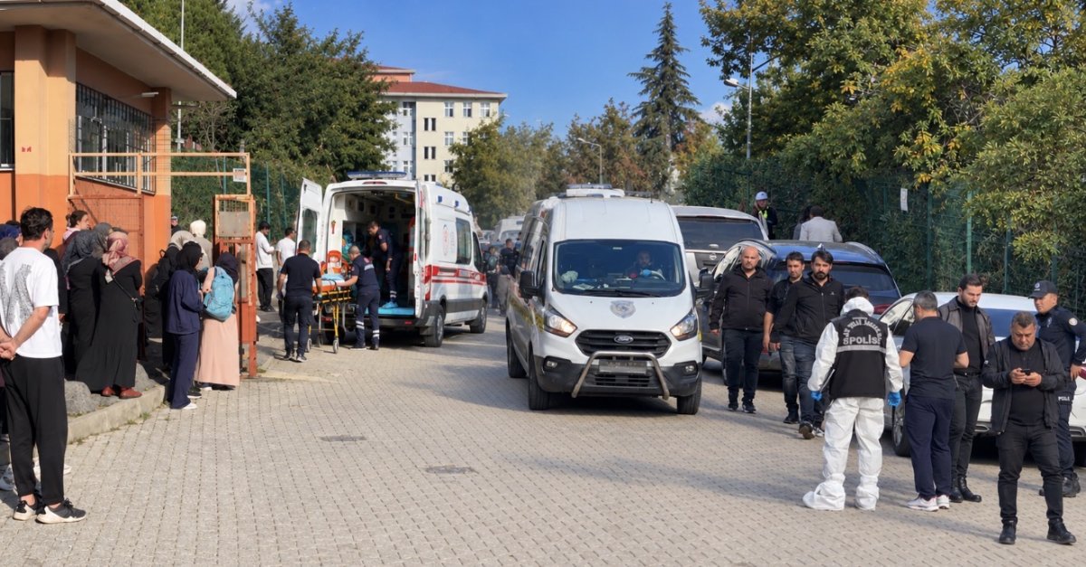 Школьница устроила нападение с ножом в Турции: пострадали восемь учеников
