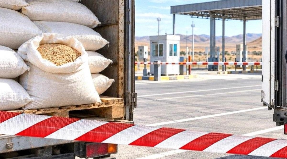 Сотни тонн заражённой продукции из России нашли в нескольких регионах Казахстана