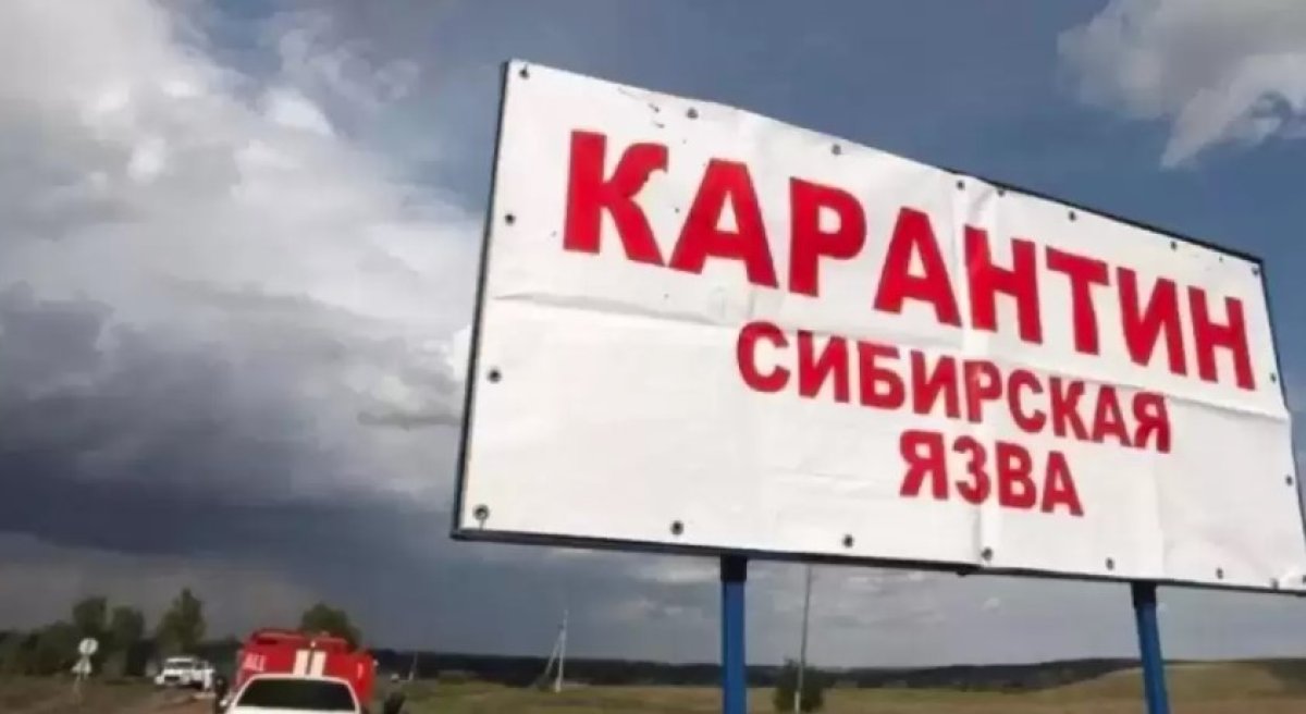Верьте на слово: Минсельхоз засекретил карту очагов сибирской язвы