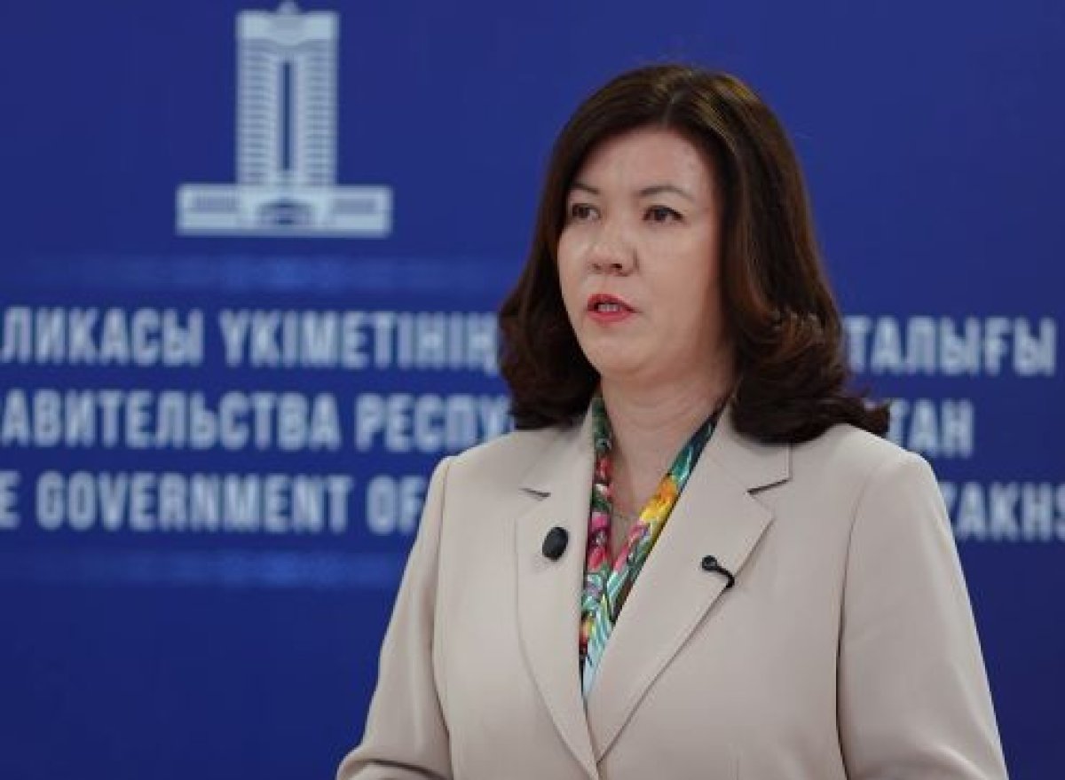 «Астана останется Астаной»: министр просвещения об ошибках в школьных учебниках