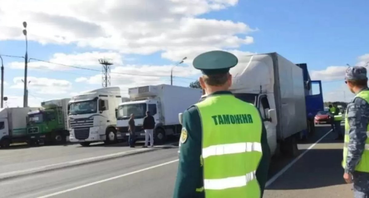 118 миллиардов – впустую? Почему на таможне постоянно очереди и заторы?