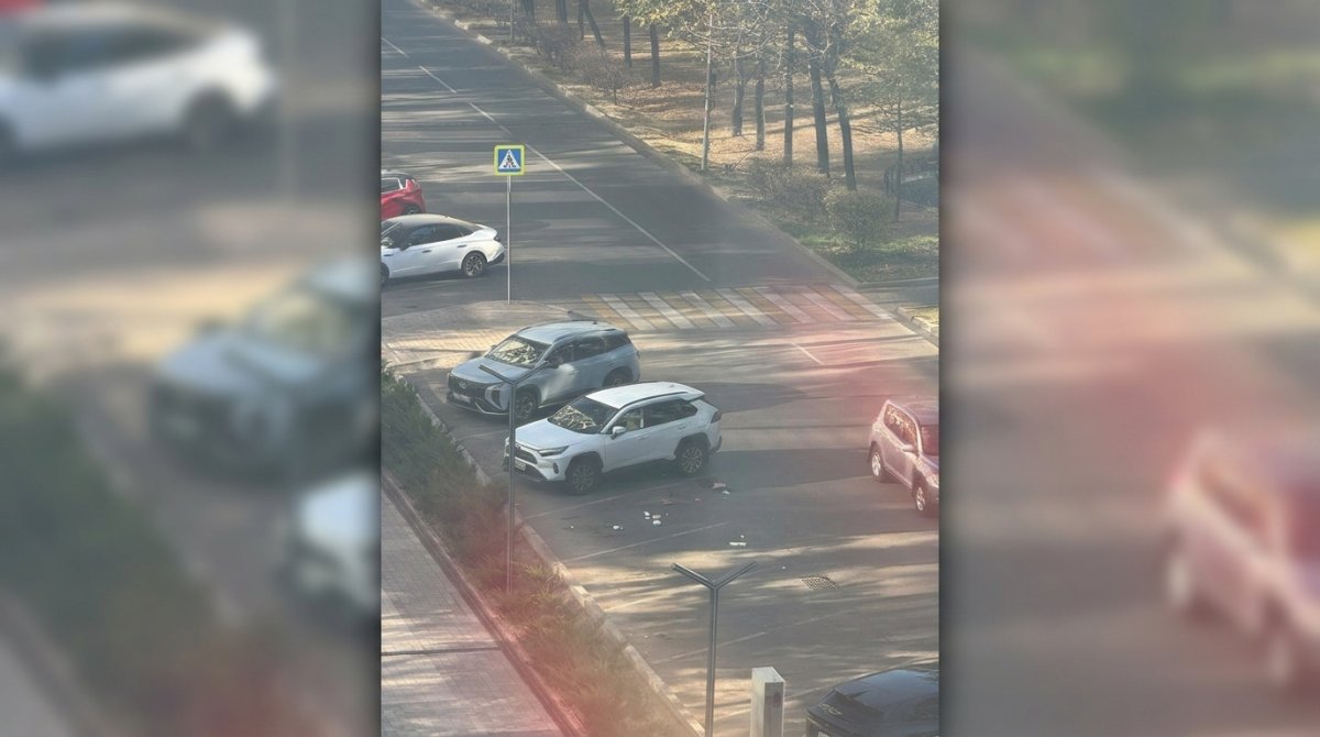 Выбросивший мусор на парковке в Алматы водитель пойдёт под суд
