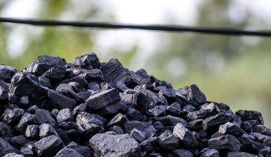 За 30-40 тысяч тенге продают уголь в казахстанских регионах
