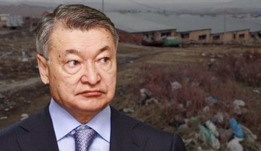 Свинью подложили: Усть-Каменогорск захватывает бизнес с неприятным запахом