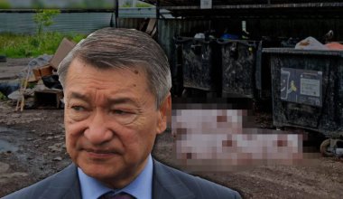 Свинское отношение к свинскому делу: почему у властей Усть-Каменогорска пропало обоняние