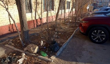 Мусор повсюду: чиновники не могут навести порядок в центре Актау
