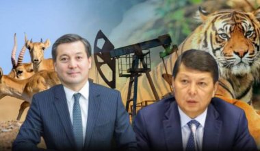 Случайный министр: чем прославился экс-глава министерства экологии Сериккали Брекешев